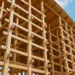 万博建築から学ぶ、木の家づくりのヒント