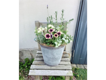 花と緑のある暮らし♪寄せ植えWork Shopを開催します！