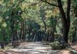 北九州市八幡西区の住みやすさに...