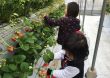 家づくりの段取り③｜初めての家...