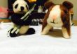 はじめまして！藤木　千夏と申し...